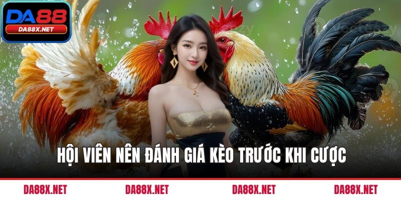 Hội viên nên đánh giá kèo trước khi cược