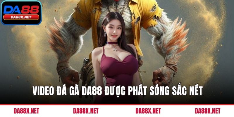 Video đá gà DA88 được phát sóng sắc nét
