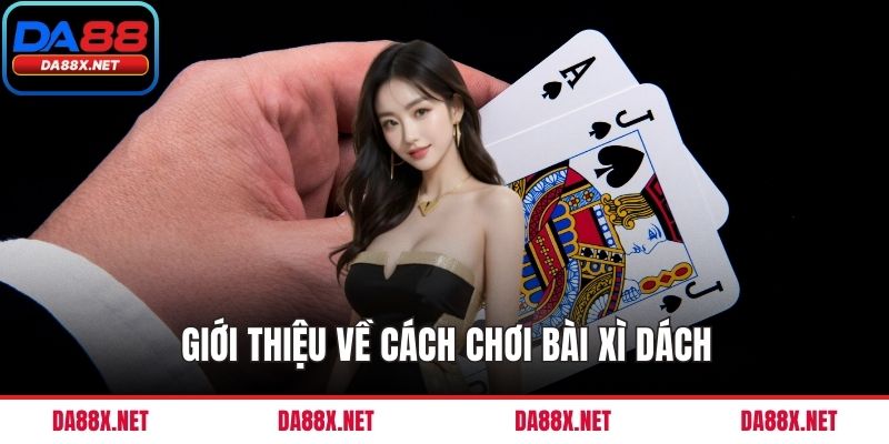 Giới thiệu về cách chơi bài xì dách