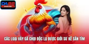 Các loại vảy gà chọi
