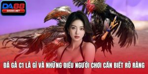 Đá gà c1 là gì