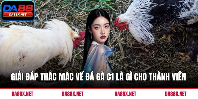 Giải đáp thắc mắc về đá gà c1 là gì cho thành viên