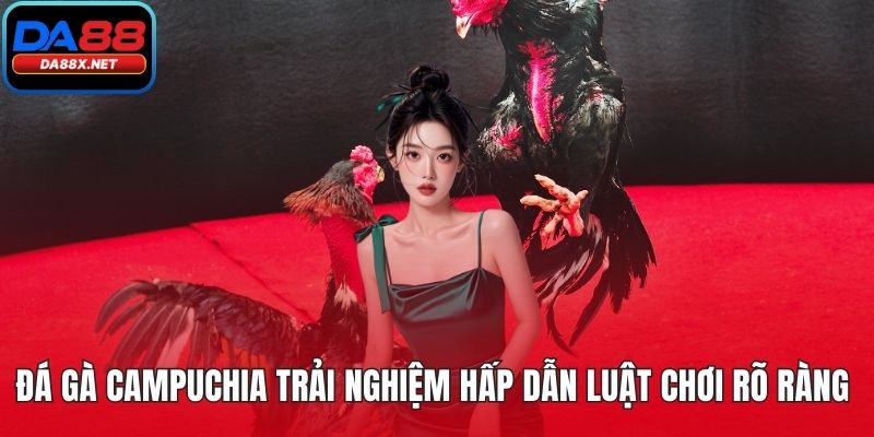 Đá gà Campuchia
