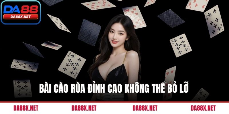 Bài cào rùa đỉnh cao không thể bỏ lỡ